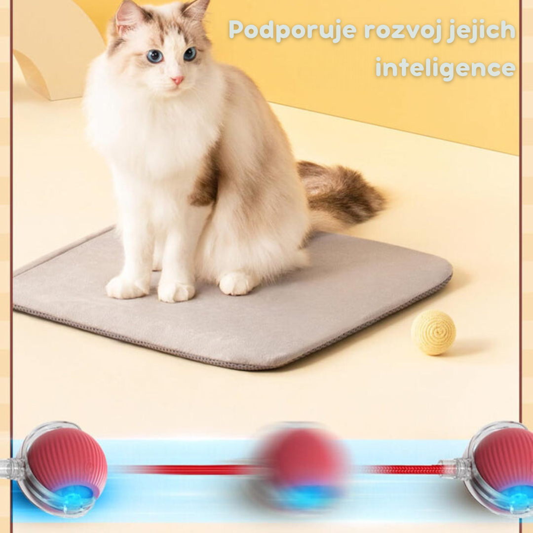 Chytrý interaktivní míček pro kočky