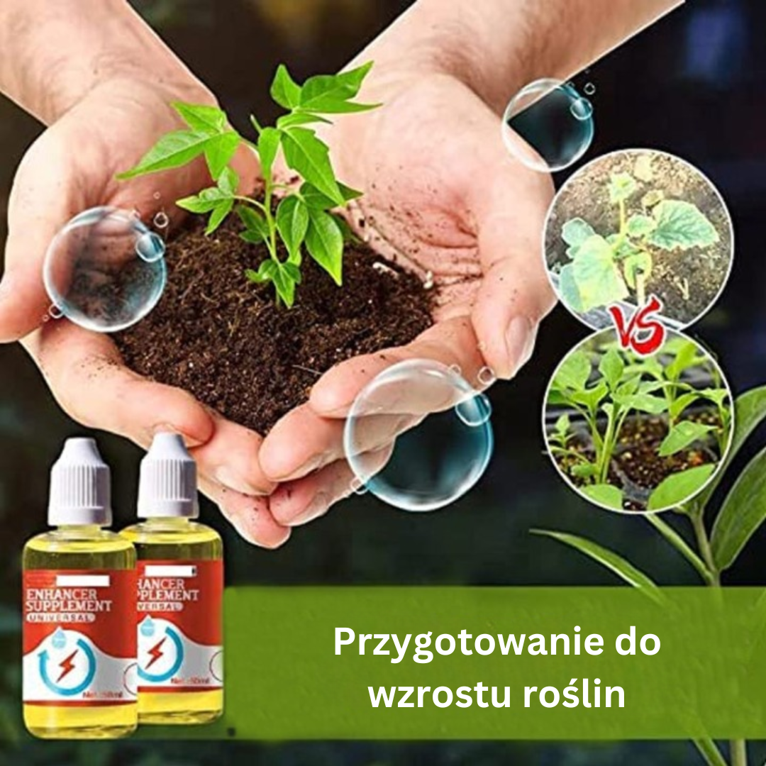 Příprava na růst rostlin